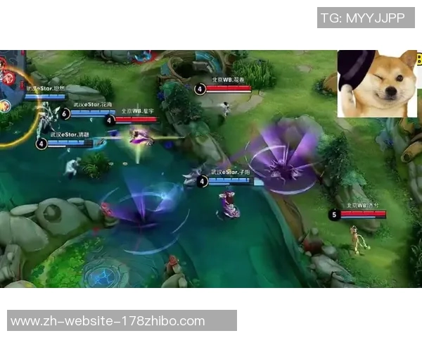 维克vs挑战者：一场关于荣耀与梦想的巅峰对决即将上演